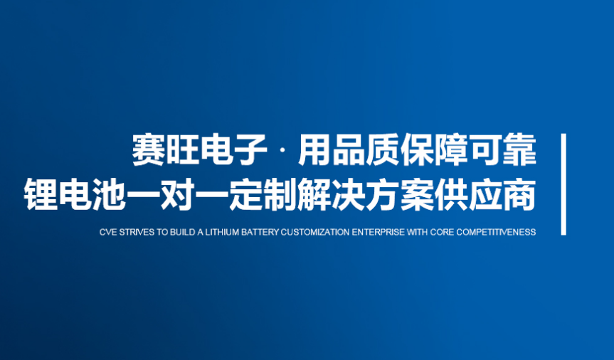广东聚合物电池厂家